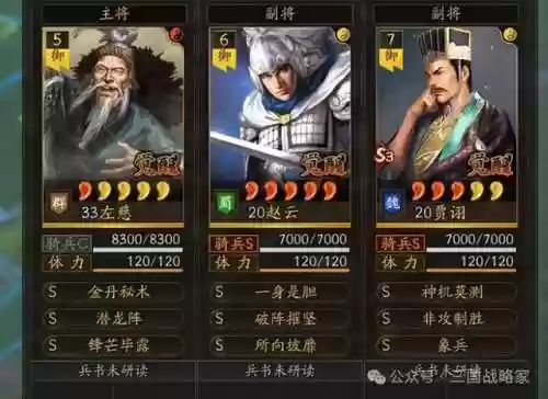 赵云最佳搭档的阵容装备(赵云装备怎么搭配最强)插图6