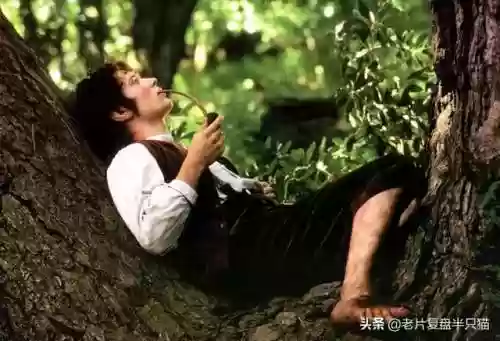 魔戒阿拉贡为什么死了(魔戒甘道夫死了没)插图68