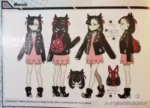 剑盾龙系道馆阵容搭配(剑盾一周目阵容推荐)插图11
