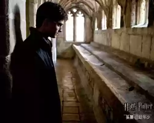 霍格沃茨中国学生名单(霍格沃茨中国分校在哪里)插图17