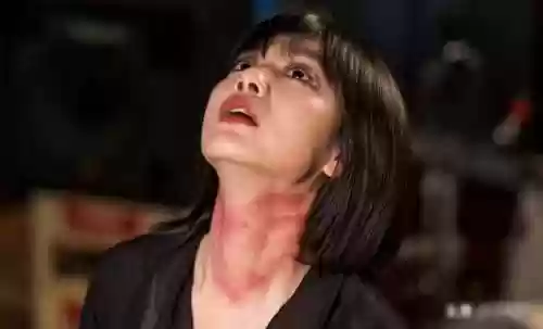 唐人街探案2 阵容推荐(《唐人街探案》演员表)插图2