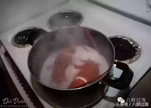 波士顿龙虾(波士顿龙虾的做法清蒸几分钟)插图16