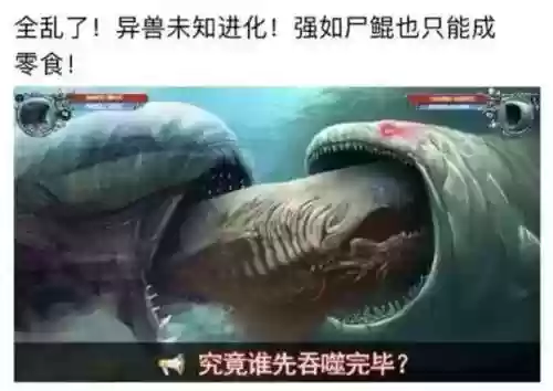 龙王赘婿阵容(斗罗大陆h5龙神阵容搭配)插图3