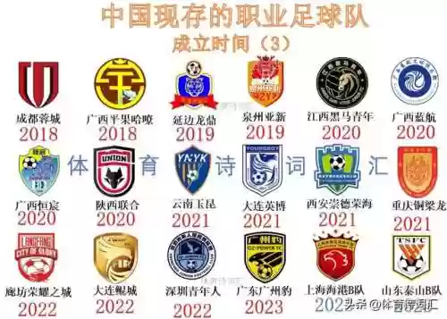 老牌阵容踢球(最佳阵容足球游戏)插图2