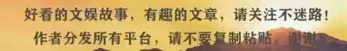 繁花豪华阵容(盛世芳华阵容怎么搭配)