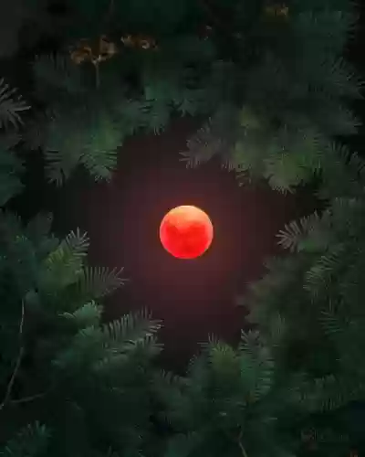 血月出现意味着什么-(血月出现三年内有灾)
