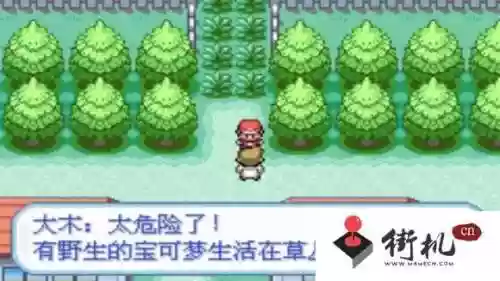 口袋妖怪火红攻略一周目(火红版本一周目图文攻略)插图2