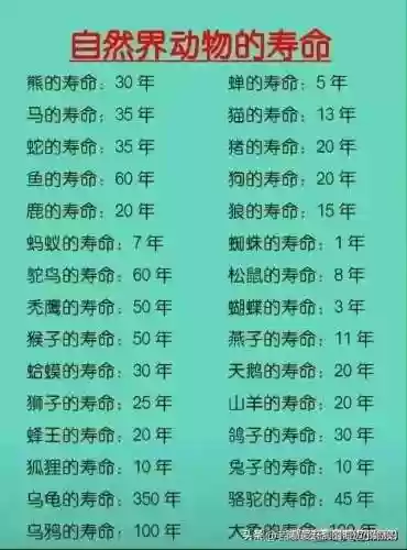 生辰八字自查表(四柱八字对照表)插图16