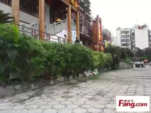 莲花华明阵容(食物语国家队阵容)插图2