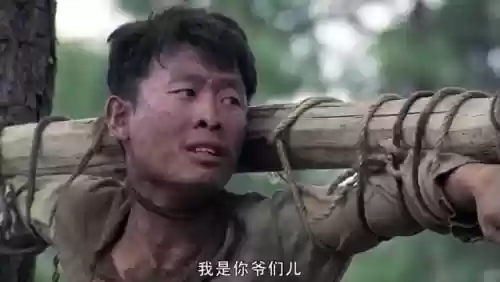 热门电视剧排行榜前十名(国产电视排行榜)插图19