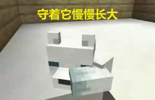 我的世界狐狸怎么驯服(我的世界驯服宠物大全表)插图6