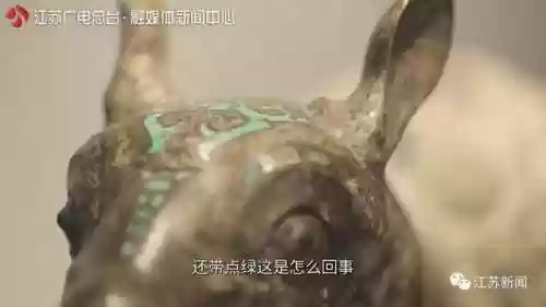 神兽是什么意思(神兽在家文案幽默句子)插图14