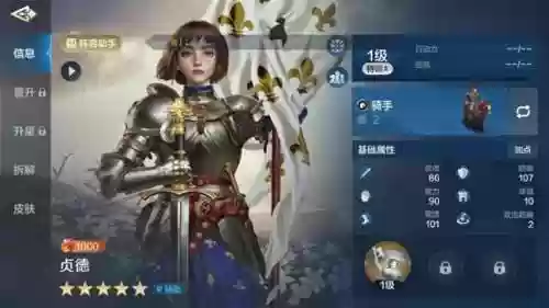 贞德 阵容(fgo黑贞阵容与礼装搭配)