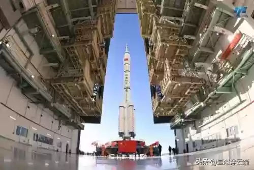 组队养鱼阵容(养鱼怎么搭配比较合适)插图3