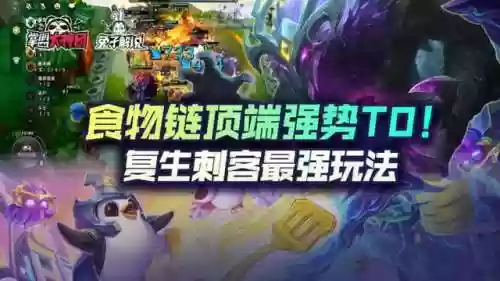什么阵容打复生刺客好(光羽刺客最佳阵容)插图1