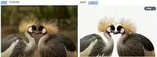 图片编辑软件哪个好(图片编辑器免费版)插图23