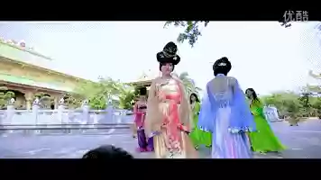 越南最丑阵容(越南最丑网红整容)插图16