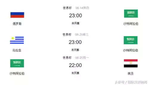 沙特2002阵容(2002年曼联主力阵容)插图1