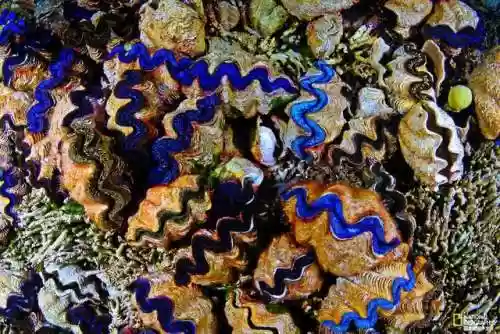 海洋世界图片(小学生海洋画作品图片)插图1