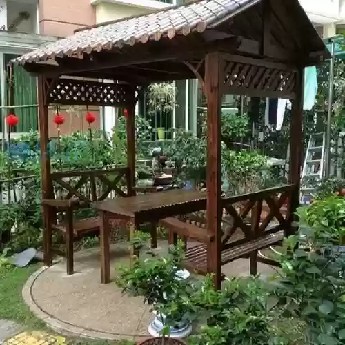 创意庭院超强植物阵容攻略(耐阴耐寒的庭院植物)插图23