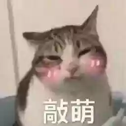 生化危机1 6百度网盘(生化危机1—6迅雷下载)插图1