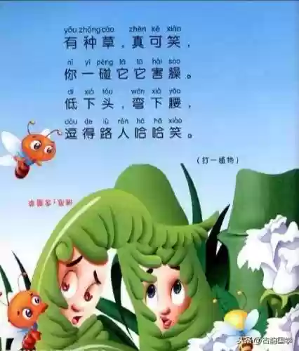 猜谜语儿童9一12岁大全(小孩猜谜语1-4岁)插图2