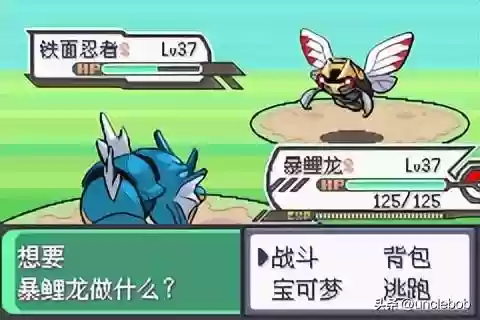 究极绿宝石战神阵容搭配(究极绿宝石3金手指大全)插图19