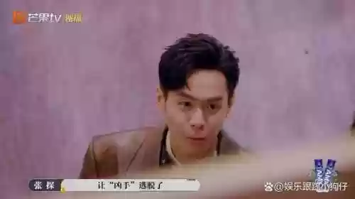 大侦探木偶复仇记2阵容(明星大侦探各期名单)插图1