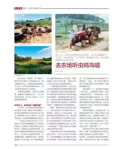 疯狂农场4古罗马(疯狂农场4安卓版手机版)