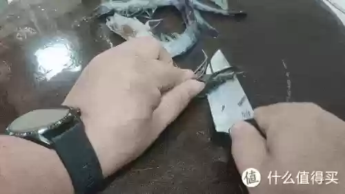 外形好看的刀(十大最锋利的小刀)插图35