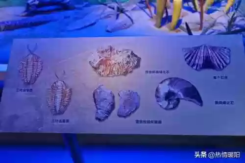 北大巅峰阵容(北大最厉害的三个班)插图10