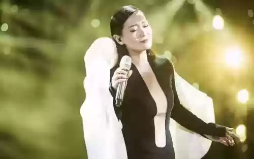 我是歌手最佳阵容是谁(我们的歌第二季阵容)插图44