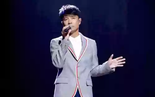 中国好声音4强阵容女选手(中国好声音四大美女)插图3