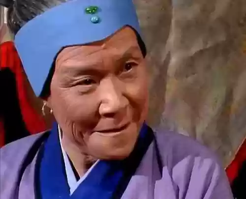 神仙阵容赵丽蓉(天龙八部3d美人搭配最新阵容)插图2