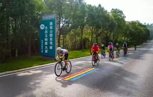 古县比赛阵容(率土之滨魏步最强阵容)插图7 古县比赛阵容(率土之滨魏步最强阵容)插图7