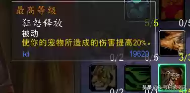 射击猎人天赋怀旧服(60级猎人天赋)插图2