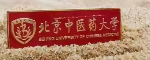 北京大学教师阵容名单(北京大学教师名单)插图6