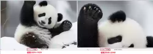 图片编辑软件哪个好(图片编辑器免费版)插图5