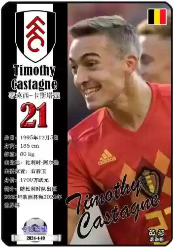12年比利时阵容计划(移民比利时需要哪些条件)插图14