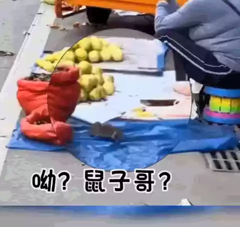 逗比搞笑图片(怎么在手机上玩逗比危机)插图3