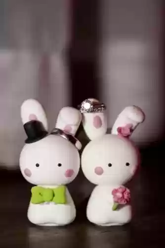 卡通兔子图片(小兔子的简笔画)插图62