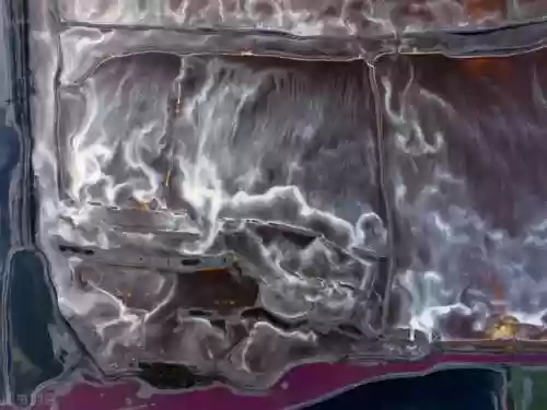 死海里十大恐怖生物(世界最恐怖的鲨鱼)插图2