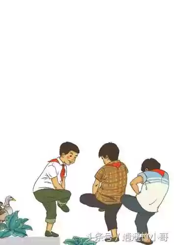 竹斗鸡阵容(小鸡出击阵容搭配)插图6