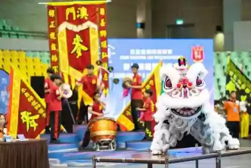 亚洲狮王阵容(泰加动物园狮子阵营)插图6