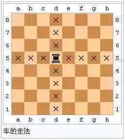 国际象棋教程(国际象棋3d战斗版)插图6