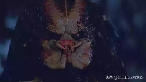铁血阵地阵容(末日血战阵容推荐)插图1