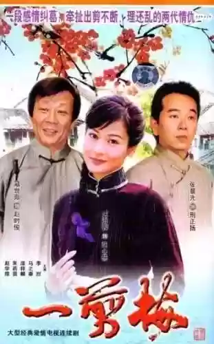 电视连续剧大全(三妻四妾免费播放电视剧大全)插图95