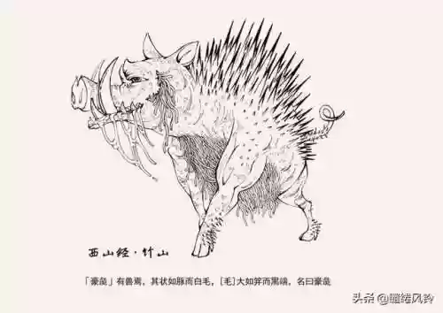 108只神兽大全(宝可梦98只神兽图片)插图30