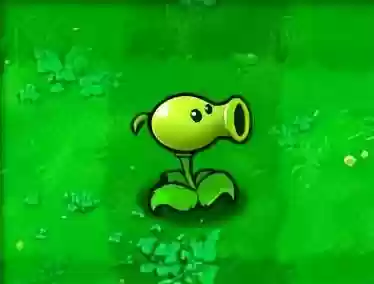 植物大战僵尸手机汉化版(植物大战僵尸官方所以版本)插图1