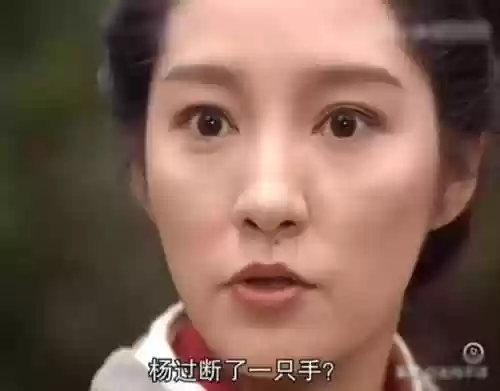 神雕侠侣95版国语32集(95版神雕侠侣23集)插图4